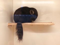 -龙猫仔乐园(惠福东路店)