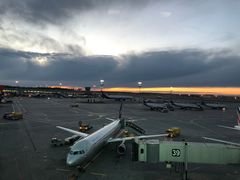 -谢列梅捷沃国际机场