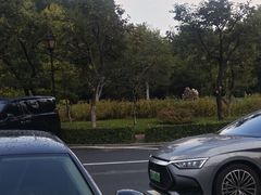 -河南省黄河迎宾馆