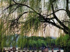 -柯岩风景区