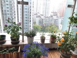 -Yvon yoga 瑜伽·精准体态管理中心