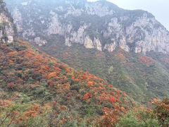 -青龙山生态文化旅游区(慈云寺)
