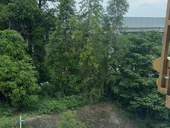 -点都德(广州白云山景区南门店)