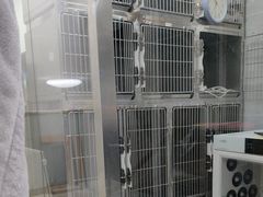 -宠福鑫康馨动物医院·骨科·眼科