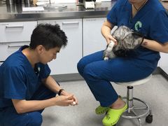 -喜多萌中农锦绣动物医院24H·猫科·牙科MRI·CT