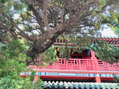 -蓬莱阁景区