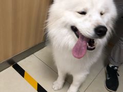 -宠福鑫康馨动物医院·骨科·眼科