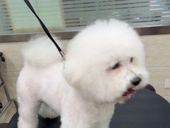 -暖阳宠物医院·犬猫康复中心·骨科
