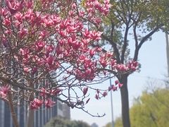 -泗泾镇社区文化活动中心