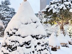 -北海道厅旧本厅舍(旧本庁舎)