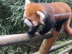 -宫廷糕点铺(建设路店)