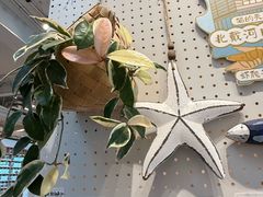 -石塘路海鲜市场(草厂中路店)