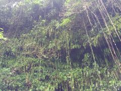 -海口火山口国家地质公园