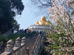 -苏州上方山国家森林公园