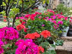 -山菌美食苑(振兴路店)