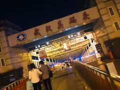 -武汉关码头(轮渡站)