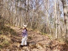 -紫金山山顶公园