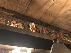 -哈利波特魔法世界