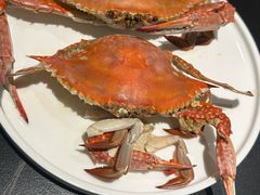 -连鹭海鲜·海肠捞饭·海胆饭(星海店)