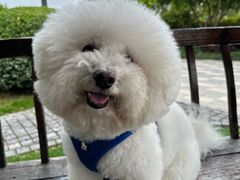 -Manner Coffee(徐汇滨江店)