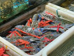 -先锋海鲜市场