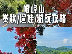 -广州市帽峰山景区