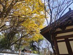 -西湖风景区十里琅珰-五云山