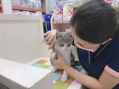 -瑞鹏宠物医院·微创内窥镜·骨外科·牙科(翠竹分院)