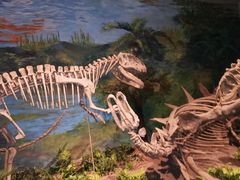 -自贡恐龙博物馆