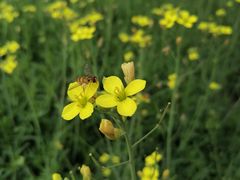 -中国天府农业博览园