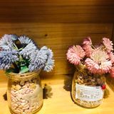 2021再见
