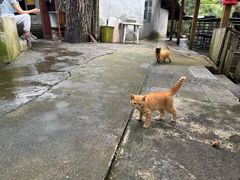 -生态园山庄(森林公园店)