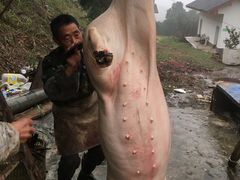 -重庆九凤瑶池海明山庄