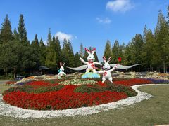 -东平国家森林公园