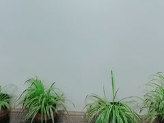 -稚未学·逻辑思维·少儿美术·儿童桌游