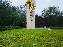 -北坞公园