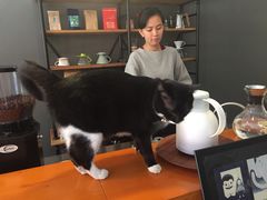 -研途咖啡馆(健康路店)