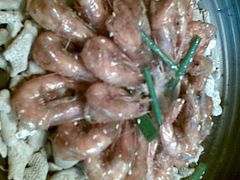 珊瑚虾-同忆餐厅(莫干山路店)