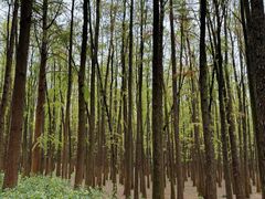 -共青国家森林公园-售票处