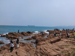 -青岛海滨风景区小鱼山