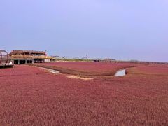 -红海滩国家风景廊道