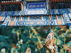 -红螺寺