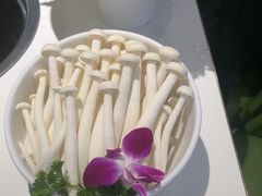 -烹然四季椰子鸡火锅(姚家园万象汇店)