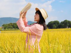 -光明小镇欢乐田园