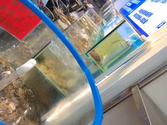 -仙螺岛海鲜自助餐厅(总店)