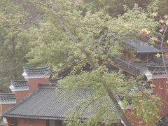 -天台山赤城山景区