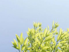 -视禾摄影培训(越秀区分部)