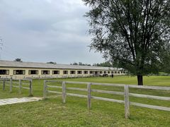 -北京群众马术培训基地