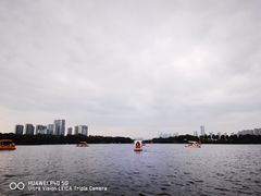 -洋湖国家湿地公园