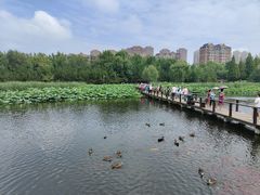 -前关湿地公园